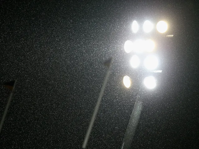 European rugby games in France postponed