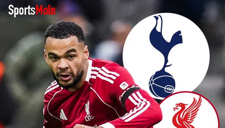 Cody Gakpo to Tottenham news: Fabrizio Romano reveals "only" way Spurs can convince Liverpool to sell to Premier League rival