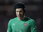 Arsenal goalkeeper Petr Cech pictured in January 2019