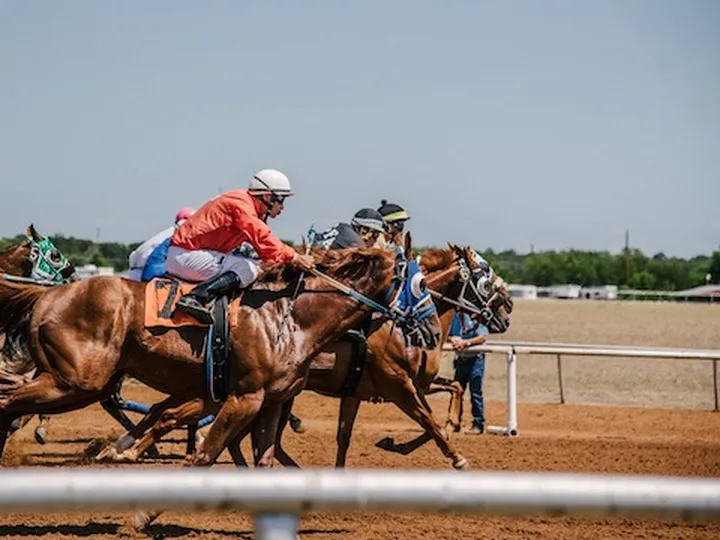 Review of the best horses in Triple Crown 2021