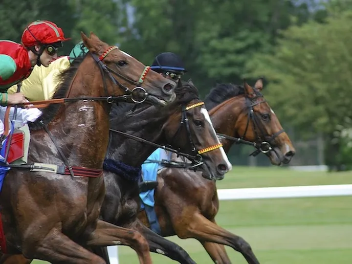 Horse Racing - 2019 events, venues, predictions and more