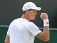 Berdych fights back to beat Lu