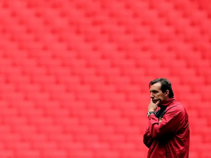 Wilmots takes charge of Belgium