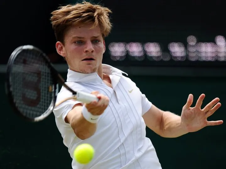 Goffin through in Miami