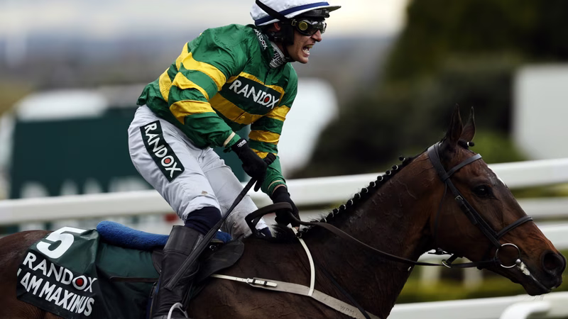 How many horses died at the 2026 Grand National?