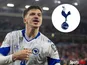 Tarik Muharemovic/Tottenham Hotspur composite