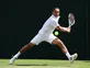 Alexandr Dolgopolov defeats Kyle Edmund